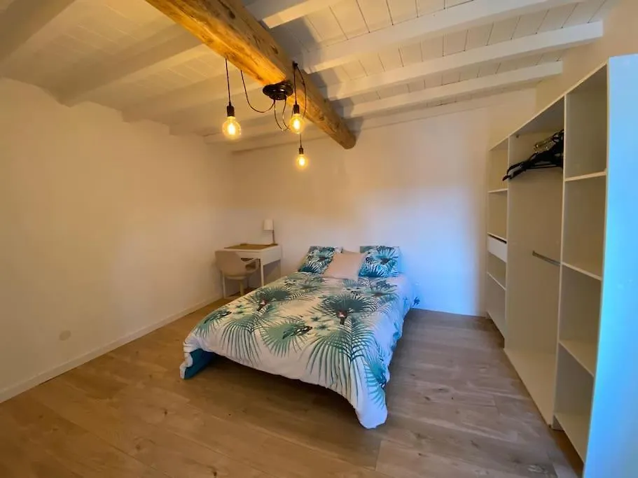 Charmant Appartement Centre Ville De Castres Castres  France