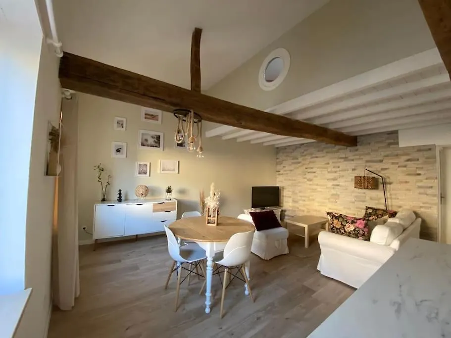 Charmant Appartement Centre Ville De Castres location